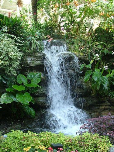 Indoor atrium idea | Waterfalls backyard, Outdoor, Atrium garden