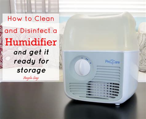 How to Clean a Humidifier and Disinfect it- Angela Says