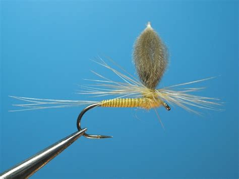 dry fly tying pattern gallery - William's Favorite | Fly tying patterns, Fly tying, Dried