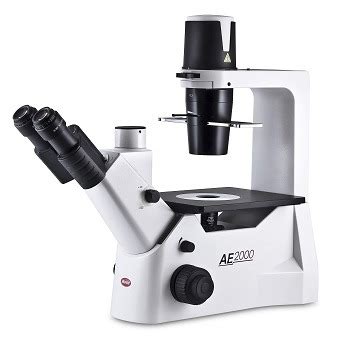 Best 5 Inverted Microscopes On The Market In 2022 Reviews