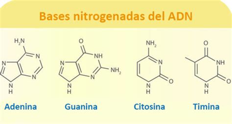 Linea de tiempo Daniel castro timeline | Timetoast timelines