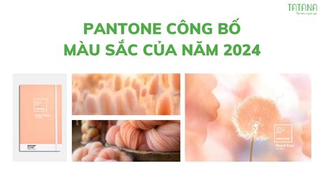 Pantone công bố màu sắc của năm 2024