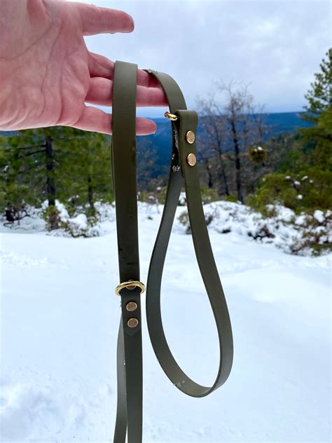 Waterproof Classic Dog Leash | BioThane Dog Leashes | Evergreen Dog Co – Evergreen Dog Co.