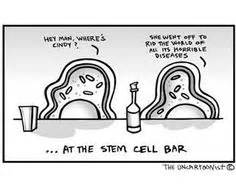 Stem Cell Cartoon Stem Cell Therapy, Hey Man, Science Humor, Seriously ...