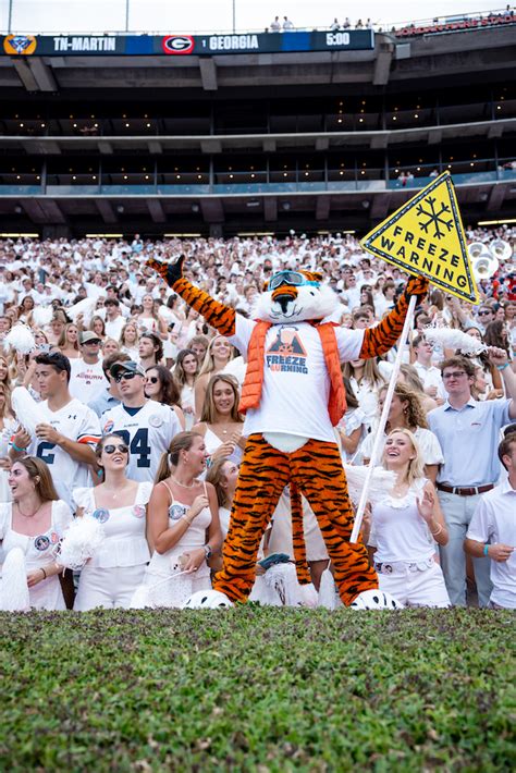 Aubie Committee