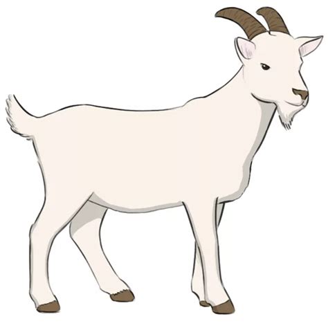 How To Draw A Goat Really Easy Drawing Tutorial, 44% OFF