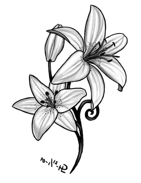 Lily Tattoo Outline