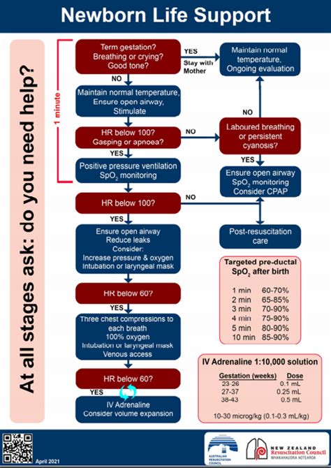 ANZCOR Newborn Life Support Flow Chart 2021 | NeoResus