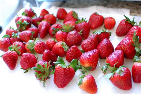 Homemade Fresh Strawberry Ice Cream — The 350 Degree Oven