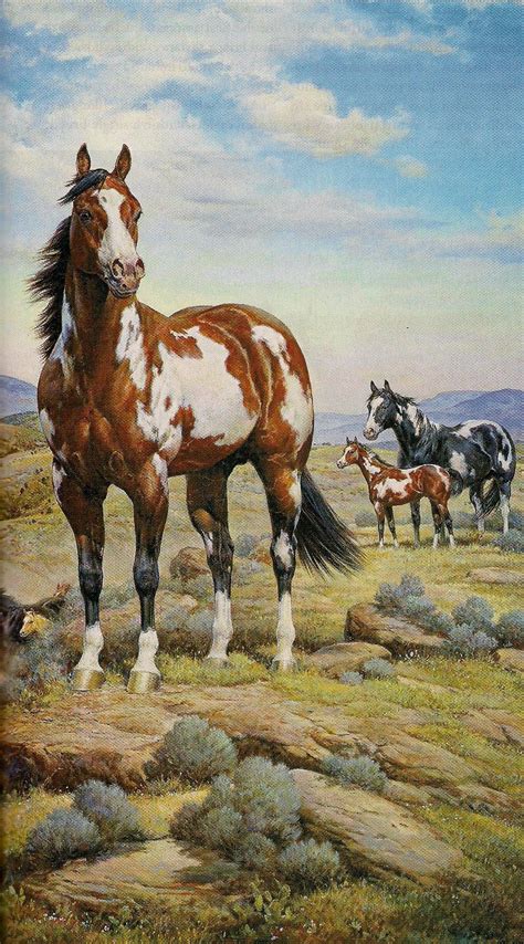 Paint Quarter Horse | Beautiful horse pictures, Horses, Horse pictures