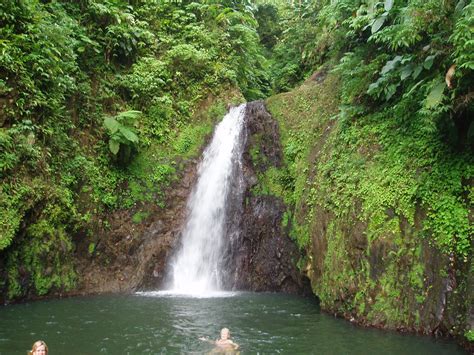 Waterfalls, Spices, and Life in Grenada - Covington Travel