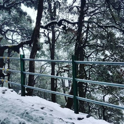 Snowfall In Mussoorie After 19 Years Looks As Magical As Youd Expect