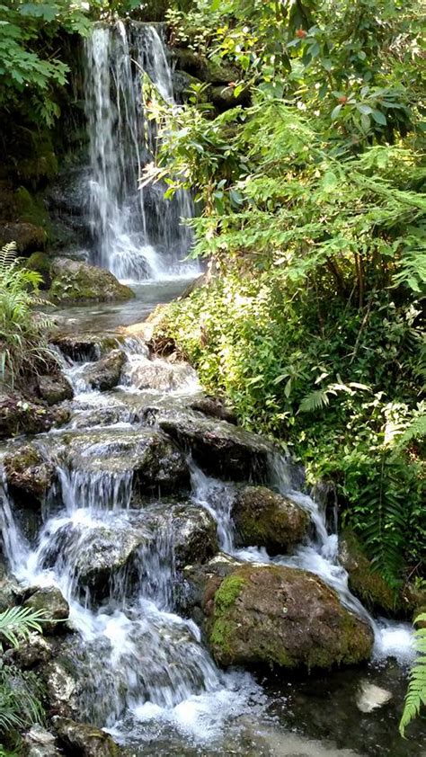 Waterfall at Rainbow Springs by AunaVenatus on DeviantArt