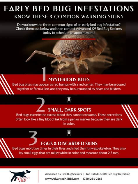 Early Bed Bug Infestation - Pest Phobia