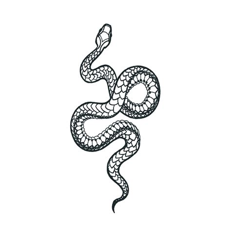 Large Snake Tattoo - Realistic Temporary Tattoos | Tattoo Icon – TattooIcon