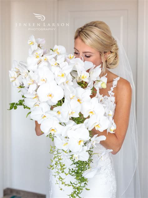 White Orchid Bridal Bouquet | Orchid bridal bouquets, Tropical wedding bouquets, Bride flowers