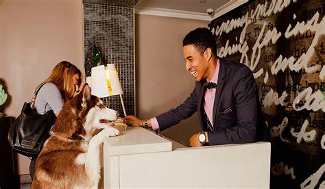 Amenity Services Help Hotels Prep for Pets - hotelbusiness.com