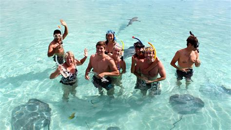 Snorkeling Lagoon Excursion by Glass bottom boat on Moorea