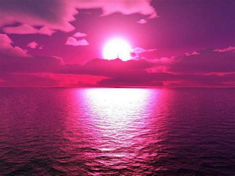 Pin by Sofia Arana on Art collage wall | Purple sunset, Pink sunset ...