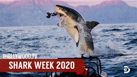 Shark Week 2020 Preview on Discovery Channel with Jeff Kurr | Shark Week - YouTube