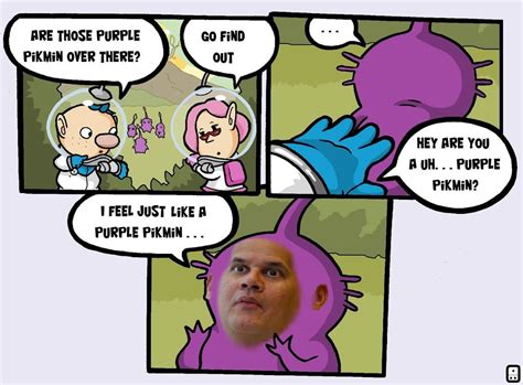 [Image - 776347] | I feel just like a purple pikmin. | Know Your Meme