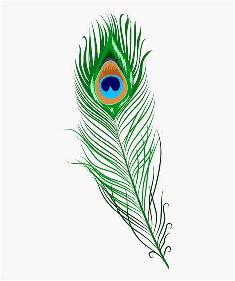 Peacock Feather, Morpankh, Art HD phone wallpaper | Pxfuel