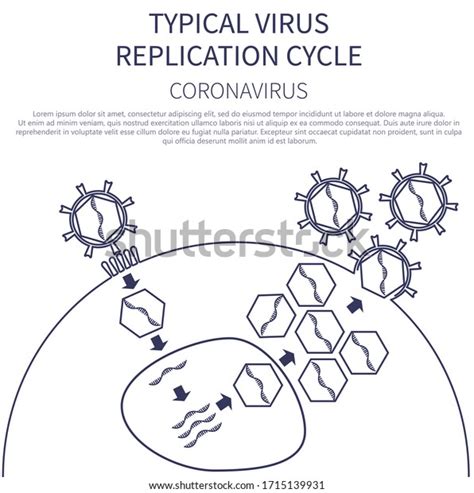 Virus Replication Cell: Over 842 Royalty-Free Licensable Stock Vectors ...