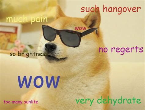 Doge Meme - Much Wow Dog - Funny Shiba Inu Meme