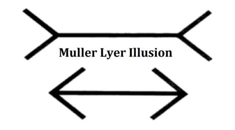 Muller Lyer Illusion Definition And Application In Real Life » 2022