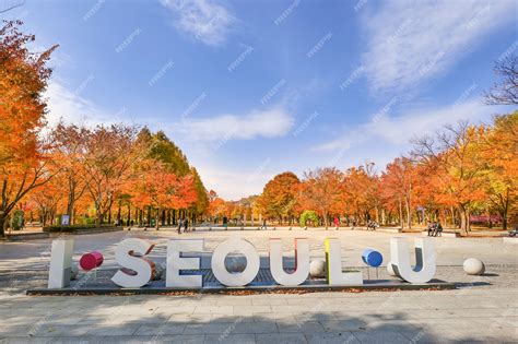 Premium Photo | SEOUL SOUTH KOREANOVEMBER 9 2020 Seoul forest Park in Autumn Seoul South Korea