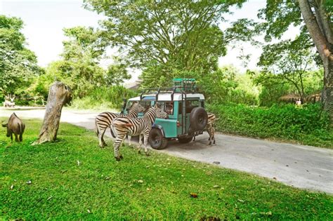 Bali Safari Park - The Official Website of Taman Safari Indonesia III