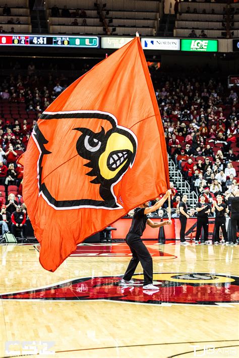 Louisville Cardinals Basketball – Cardinal Sports Zone