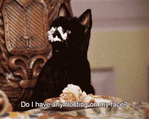 Salem salem the cat sabrina the teenage witch GIF on GIFER - by Zulkirn