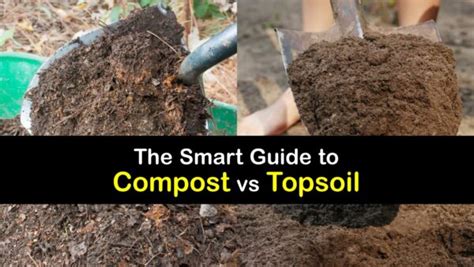 Compost and Topsoil - Using Them in the Garden