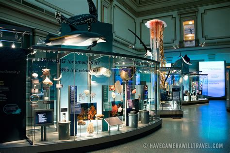 Marine Exhibit at the Smithsonian National History of Natural History | Have Camera Will Travel ...