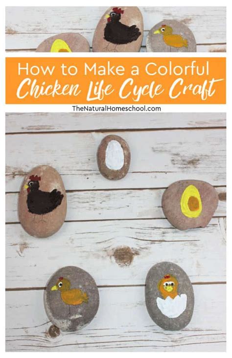 How to Make a Colorful Chicken Life Cycle Craft with Kids - The Natural ...