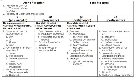 Flashcards - EXAM 1 - Cell What is the objective of physiology ...