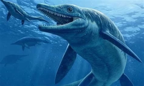 Marine dinosaurs evolved extremely quickly, study finds - Redorbit