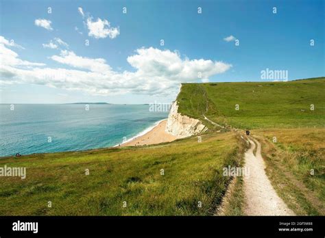 Hiking trail towards Bat's head cliffs, the west of Durdle Door. Lulworth Estate, Dorset, UK ...