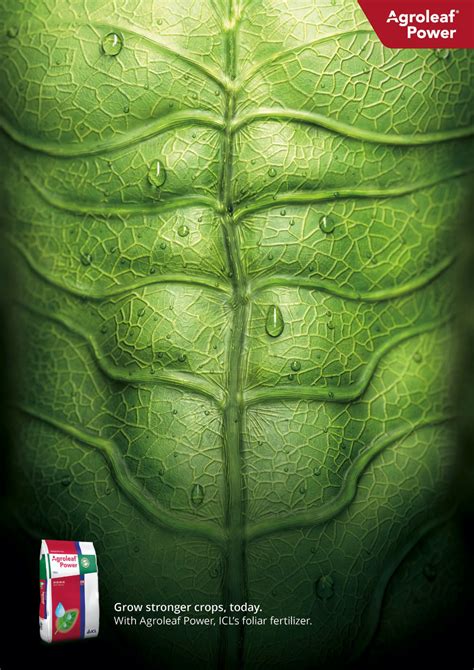 Print advertisement created by Bureau Loos, Netherlands for ICL, within the categories: House ...