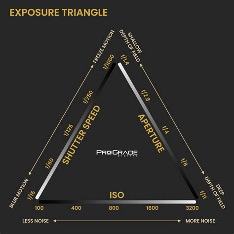 Understanding the Exposure Triangle | ProGrade Digital