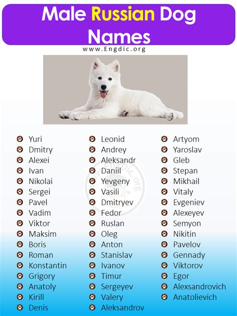 300+ Most Popular Russian Dog Names (Male, Female) - EngDic