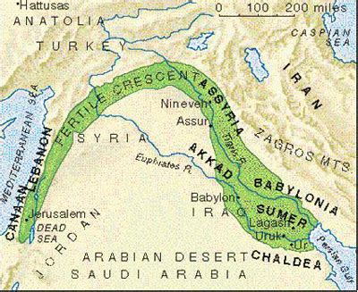 Major Crops Produced in Ancient Mesopotamia - Ancient Mesopotamia