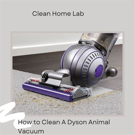 How to Clean A Dyson Animal Vacuum - Clean Home Lab