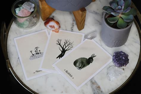 6 Gorgeous Nature Oracle Cards for 2023 | Opulent Charms