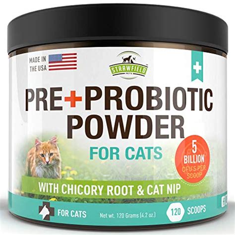 Top 10 Best Cat Probiotics Of 2024 - Aced Products