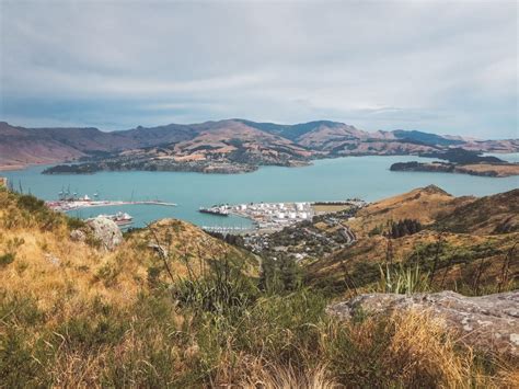 Hiking the Christchurch Gondola in New Zealand | Jana Meerman