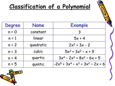 Polynomial Vocabulary Worksheet Answers