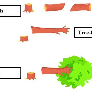 Harvesting techniques | Download Scientific Diagram