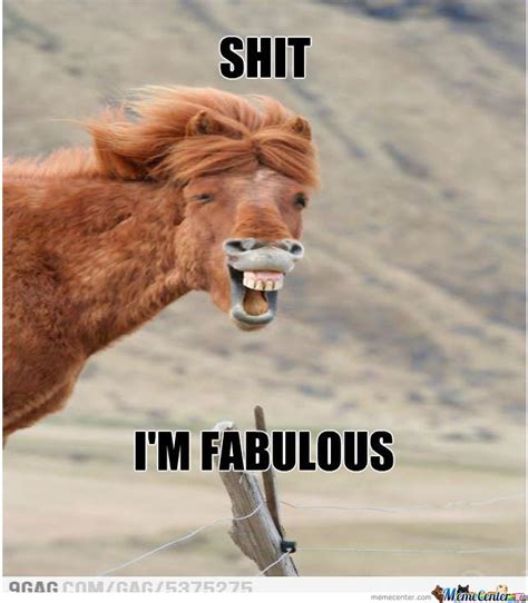 Fabulous | Smiling animals, Funny horses, Funny animal pictures